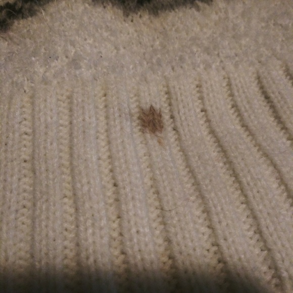 Fuzzy Wuzzy Polar Bear! - Picture 2 of 4